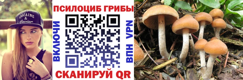 Галлюциногенные грибы Psilocybe  Пушкино 